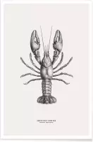 JUNIQE - Poster American Lobster -13x18 /Grijs & Ivoor