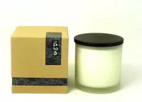 FT 501479 Candle Large Transparant Frost