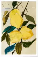 JUNIQE - Poster Lemonstudy 1 -13x18 /Geel & Ivoor