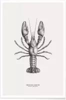 JUNIQE - Poster American Lobster -30x45 /Grijs & Ivoor