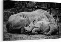 Schilderij - Neushoorn kalf slapend tegen de moeder — 90x60 cm