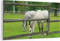 Schilderij - Paarden achter hek — 90x60 cm
