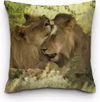 Sweet Living Sierkussen Lion hugs Vierkant
