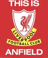 Liverpool FC Poster - This Is Anfield - 50 X 40 Cm - Multicolor