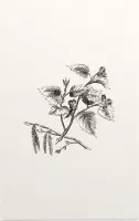 Gebladerte zwart-wit - Foto op Forex - 100 x 150 cm