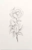 Geen Titel 7 Schets - Foto op Forex - 80 x 120 cm