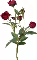 Viv! Home Luxuries Roos mini - 2 stuks - zijden bloem - rood paars - topkwaliteit