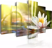 Schilderijen Op Canvas - Schilderij - Sunny Lotus 200x100 - Artgeist Schilderij