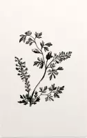 Duivenkervel zwart-wit (Furmitory) - Foto op Forex - 100 x 150 cm