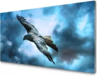 Glasschilderij Eagle in the rain | 120 X 60 CM | 4 mm gehard glas | Incl. Blind ophangsysteem | Moderne glazen schilderij