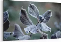 Schilderij - Bevroren bladeren — 100x70 cm