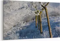Schilderij - Bevroren bomen — 100x70 cm