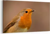 Schilderij - Pretty bird — 100x70 cm