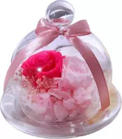 Valentijn-Cadeautjes voor vrouwen-Cadeautjes voor meisjes-Eindeloos Bewaarde Rozenbloem In Glas - Romantisch Cadeautje - Beste Cadeau Voor Haar, KLEUR ( ROZE )