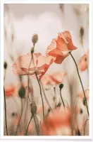 JUNIQE - Poster Sunkissed Flowers 1 -13x18 /Grijs & Oranje