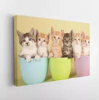 Onlinecanvas - Schilderij - Six Cute Kittens Sitting Inside In Containers Art Horizontal Horizontal - Multicolor - 75 X 115 Cm