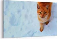 Schilderij - Roodharige kat in de sneeuw — 100x70 cm