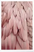 JUNIQE - Poster Pastel Feathers -20x30 /Roze