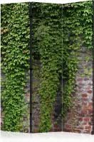 Kamerscherm - Scheidingswand - Vouwscherm - Brick and ivy [Room Dividers] 135x172 - Artgeist Vouwscherm
