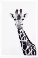 JUNIQE - Poster Giraffe -20x30 /Grijs & Wit