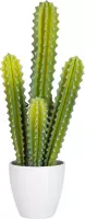 J-Line Cactus 5Delig Groen