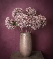 PTMD  hydrangea bloem bordeaux paars hortensia tak