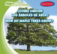 ?Como Crecen Los Arboles de Arce? / How Do Maple Trees Grow?