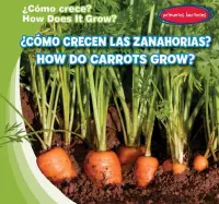 ?Como Crecen Las Zanahorias? / How Do Carrots Grow?