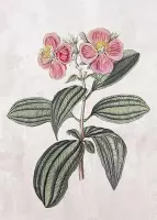 Schilderij Flower (105 x 75 x 4 cm)