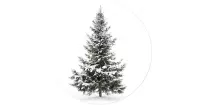 Muursticker Dennenboom - WandstickersWandstickers Kerst - Polyester - Ø 150 centimeter