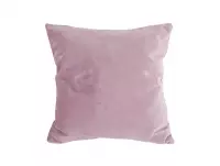 Cushion Tender