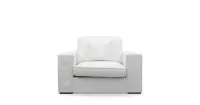 Selana Armchair Lin FrshLin