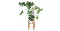 Plantenstandaard - Eiken - 23 cm