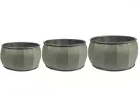 TS Bowl set van 3 Mikan thyme