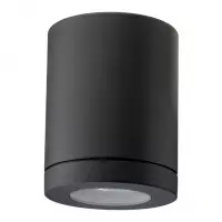 SG lighting LED Metro zwart 614695 plafondarmatuur met GU10 fitting kis zelf de passende lamp