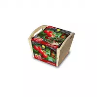 Tomato Box Kweekset Tomaten Minibel gemaakt van FSC hout!