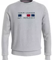 Tommy Hilfiger Menswear Sweater Heren