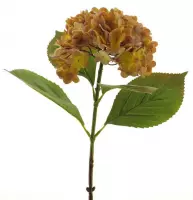 Hydrangea spray pipa yellow 52 cm
