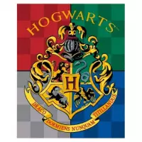 Harry potter - Hogwarts - fleece deken - 120 x 150 cm