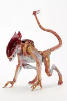 Aliens: Kenner Tribute Panther Alien 7 inch Action Figure