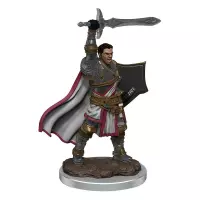Dungeons and Dragons: Icons of the Realms - Male Human Paladin Premium Figure