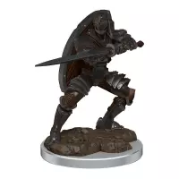 Dungeons and Dragons: Icons of the Realms - Male Warforged Fighter Premium Figure