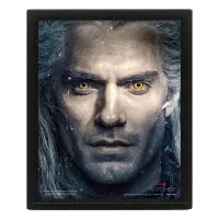 THE WITCHER (INTERTWINED) - FRAMED