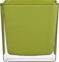 Cubic regular light green 12x12x12