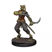 Dungeons and Dragons: Icons of the Realms - Male Tabaxi Rogue Premium Figure