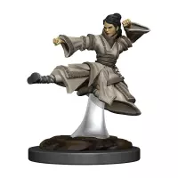 Dungeons and Dragons: Icons of the Realms - Female Human Monk Premium Figure