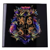 Nemesis Now Harry Potter Heldere afbeelding Hogwarts Fine Oddities Multicolours