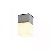 Square C Plafondlamp/Wandlamp Aluminium 230716