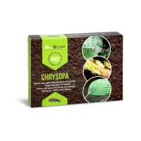 Chrysopa-10.000