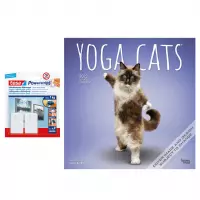 Huisdieren/dieren kalender 2022 katten/poezen yoga 30 cm incl. 2 zelfklevende ophanghaken - Maandkalenders/jaarkalenders